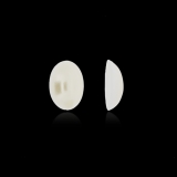 BSC60